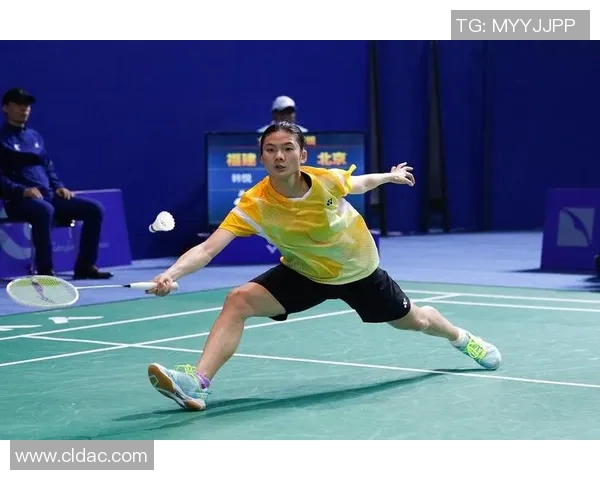 从零起步到高手之路羽毛球个人技能全面提升指南 从零起步到高手之路羽毛球个人技能全面提升指南