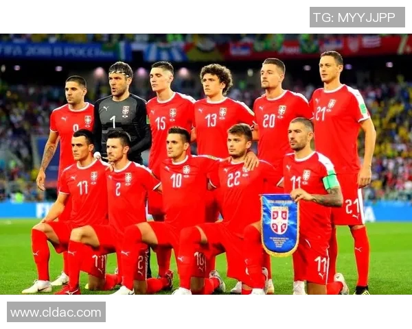 塞尔维亚足球明星阵容解析及其在国际赛场上的表现与成就