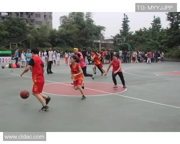 成都篮球队的崛起与力量探讨聚焦于篮球运动的未来发展与影响