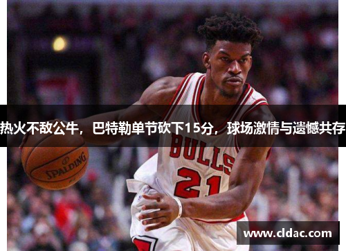 热火不敌公牛，巴特勒单节砍下15分，球场激情与遗憾共存