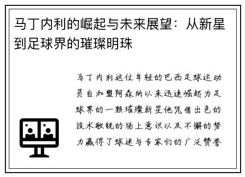 马丁内利的崛起与未来展望：从新星到足球界的璀璨明珠